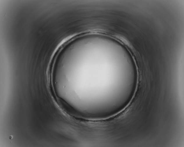 X0000086781032200704201820