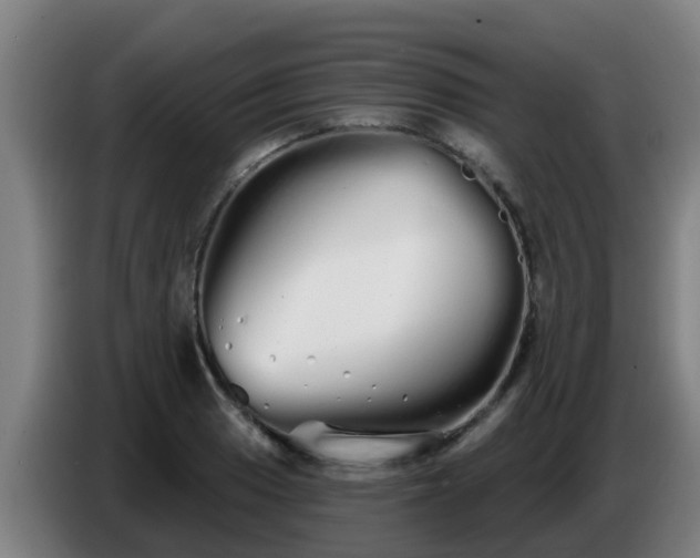 X0000086781033200704201820