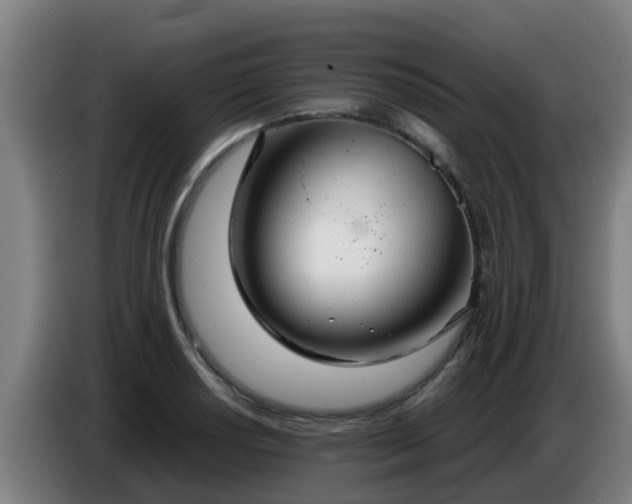 X0000086781034200704201820