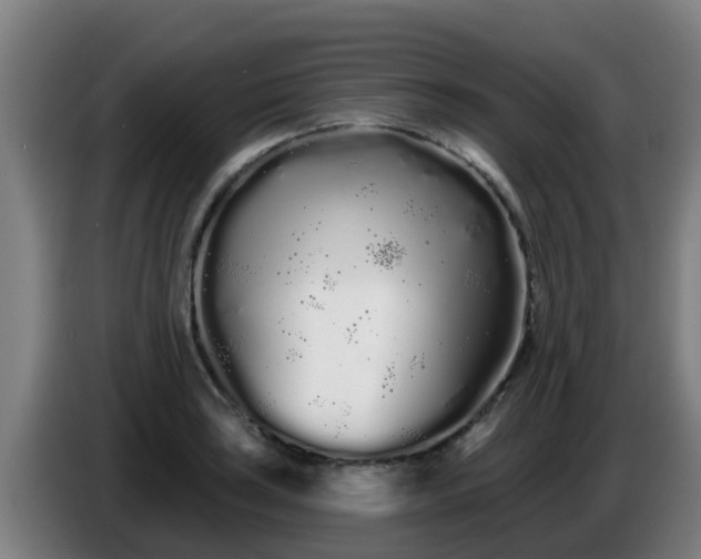 X0000086781035200704201820