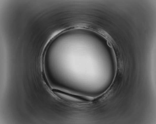 X0000086781036200704201820