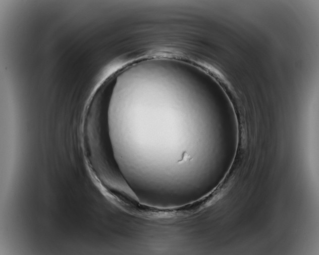 X0000086781038200704201820