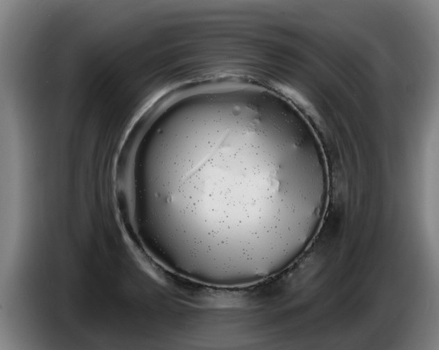 X0000086781039200704201820