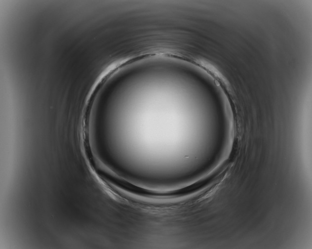 X0000086781040200704201820