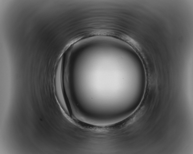 X0000086781041200704201820