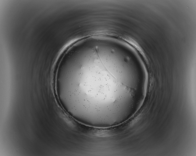 X0000086781043200704201820