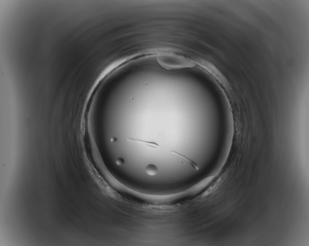 X0000086781044200704201820