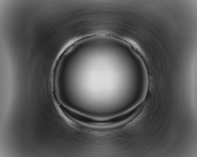 X0000086781046200704201820