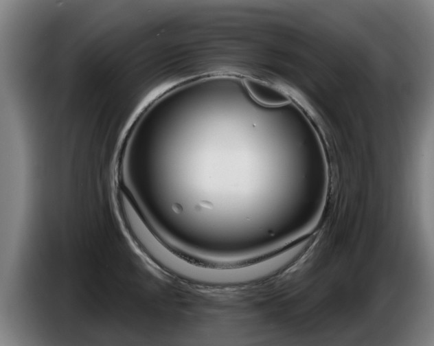 X0000086781048200704201820