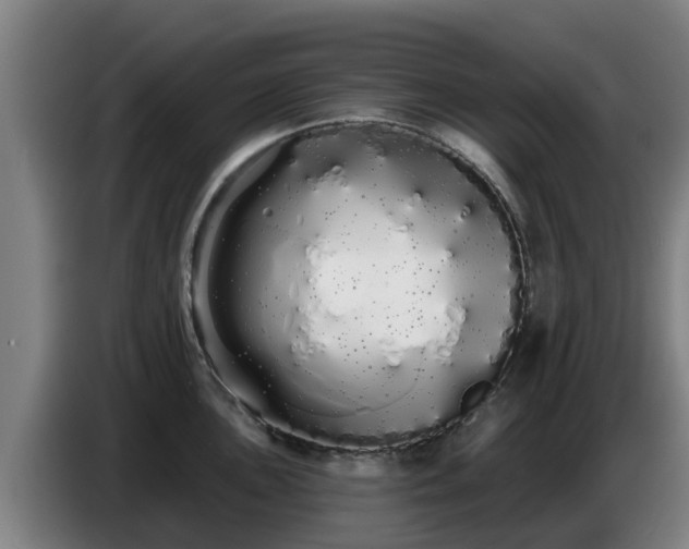 X0000086781051200704201820