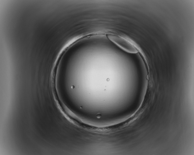 X0000086781053200704201820