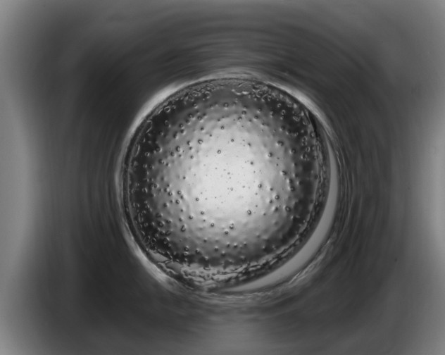 X0000086781054200704201820