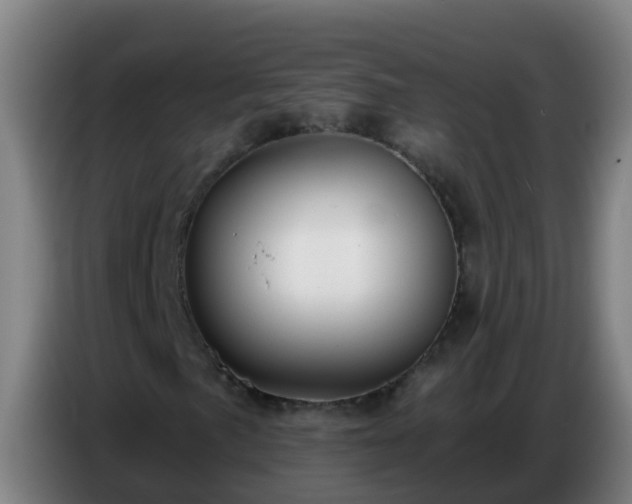 X0000086781057200704201820