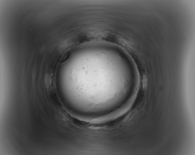 X0000086781059200704201820