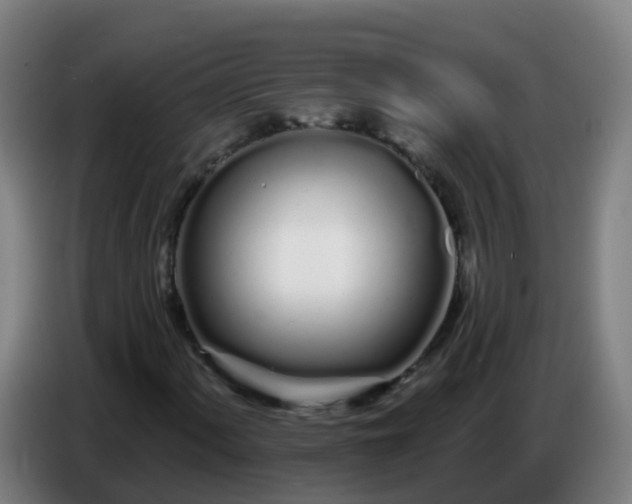 X0000086781060200704201820