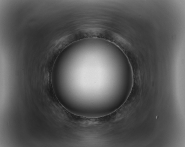 X0000086781061200704201820