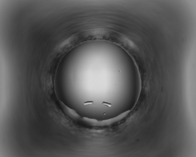 X0000086781062200704201820