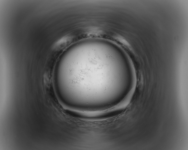 X0000086781063200704201820