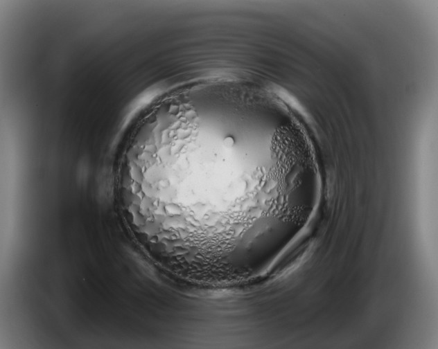 X0000086781067200704201820