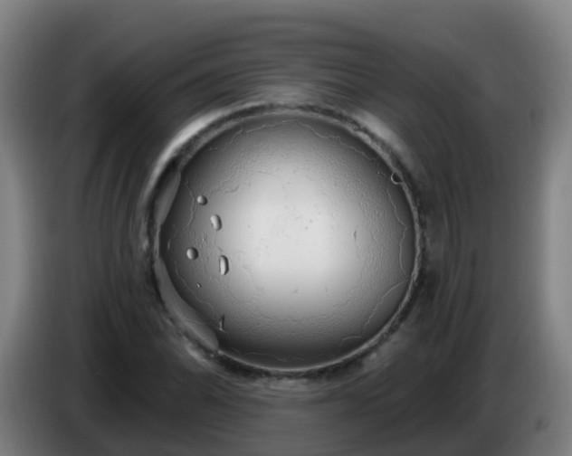 X0000086781070200704201819