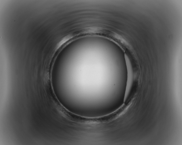 X0000086781073200704201819