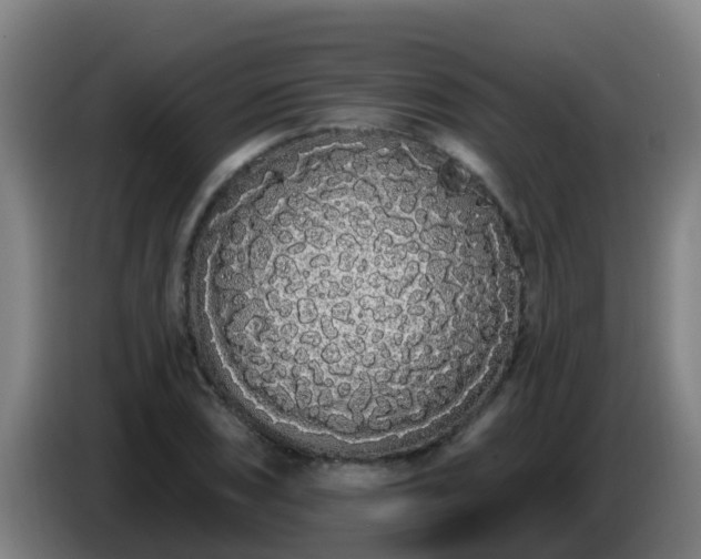 X0000086781074200704201819