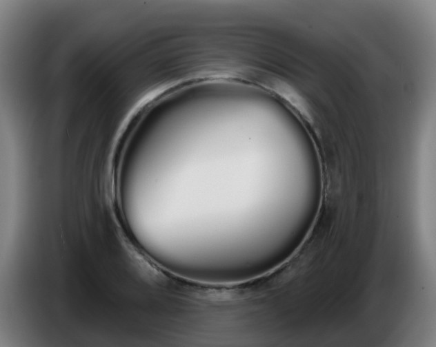 X0000086781080200704201819