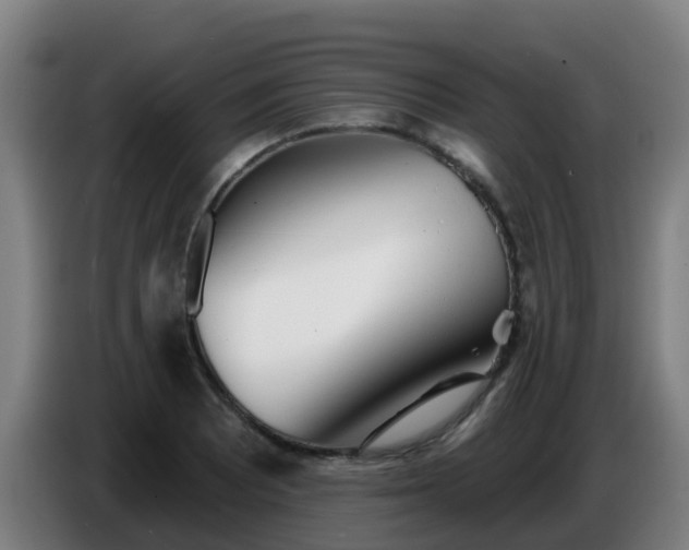 X0000086781081200704201819