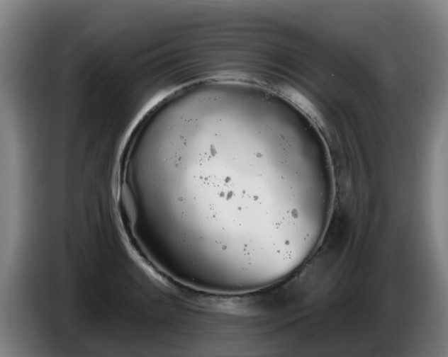 X0000086781084200704201819