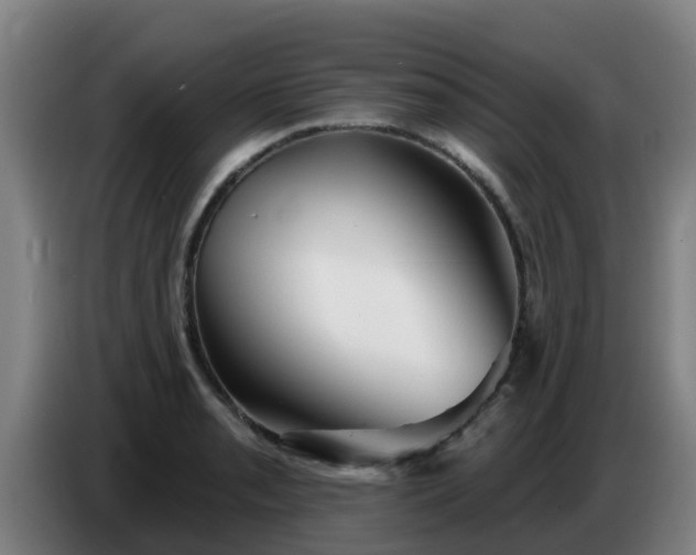 X0000086781085200704201819