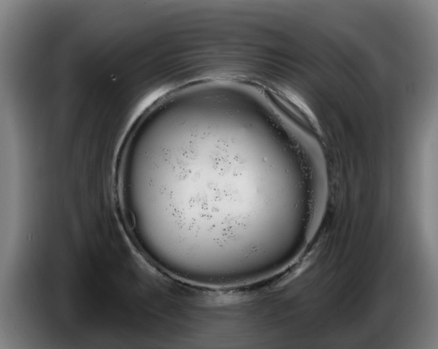 X0000086781087200704201819