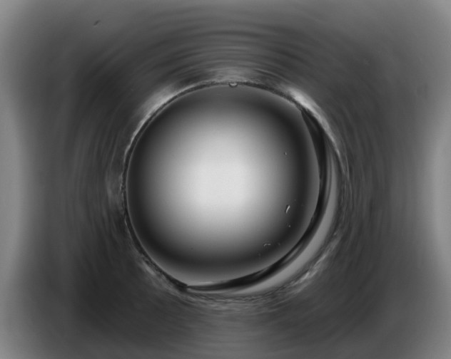 X0000086781089200704201819