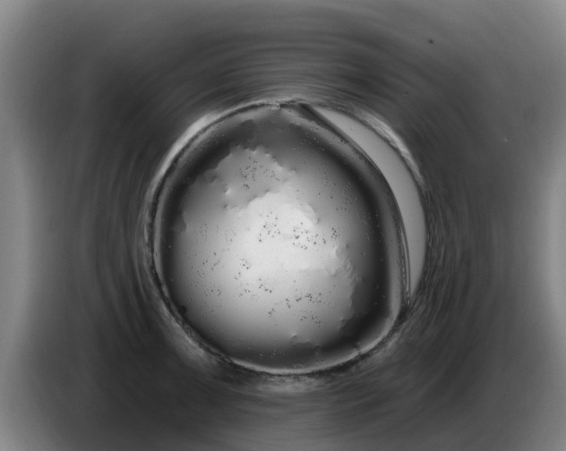 X0000086781091200704201819