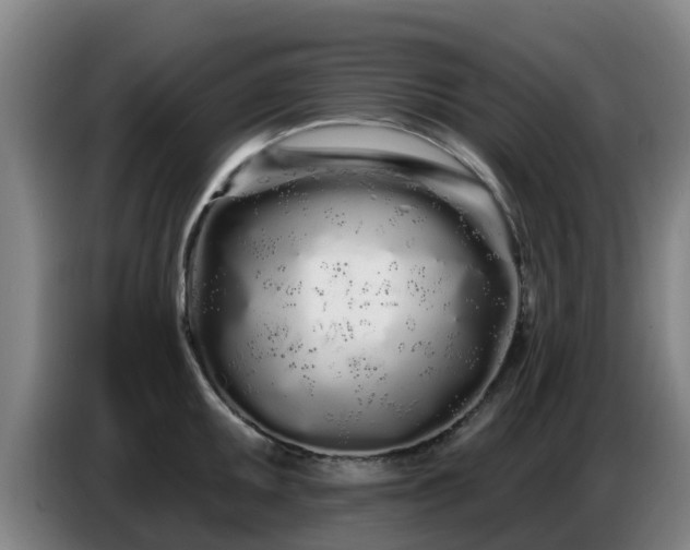 X0000086781095200704201819