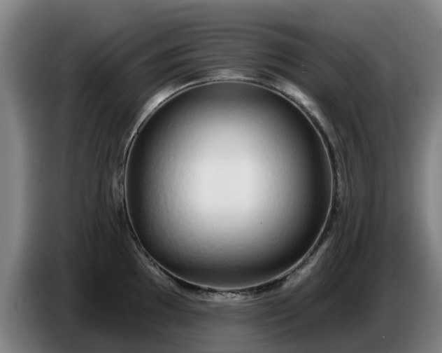 X0000086781097200704201819