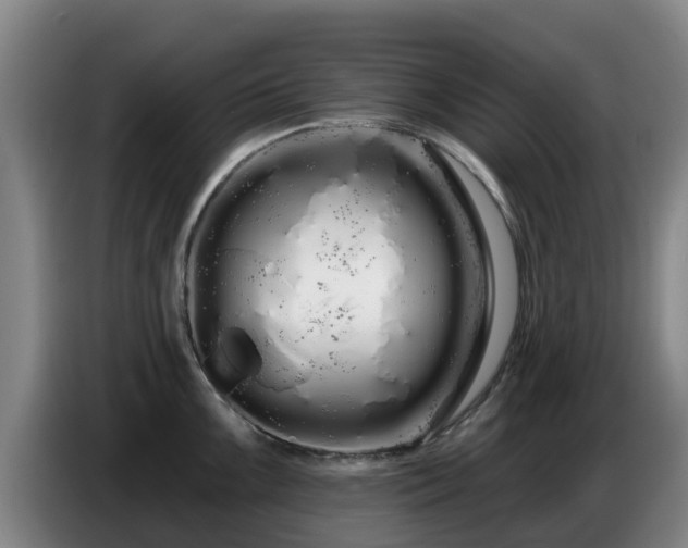 X0000086781099200704201819