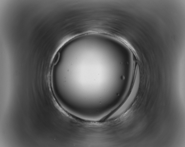 X0000086781100200704201819