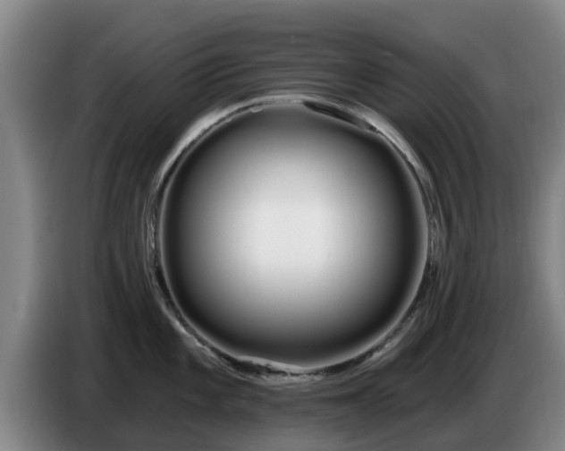 X0000086781101200704201819