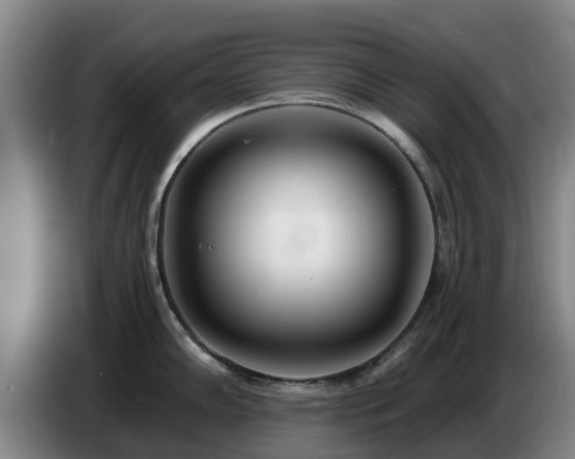 X0000086781102200704201819