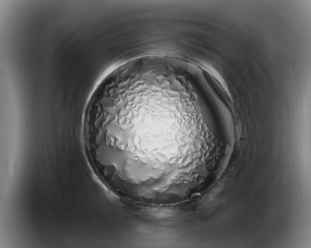 X0000086781103200704201819