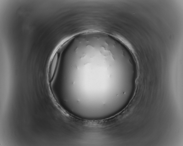 X0000086781104200704201819