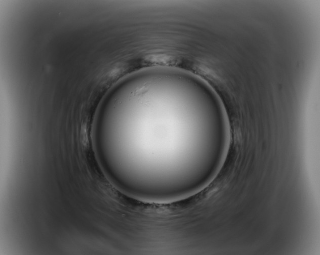 X0000086781106200704201818