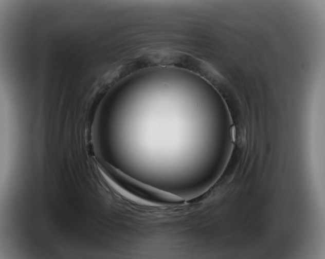 X0000086781108200704201818