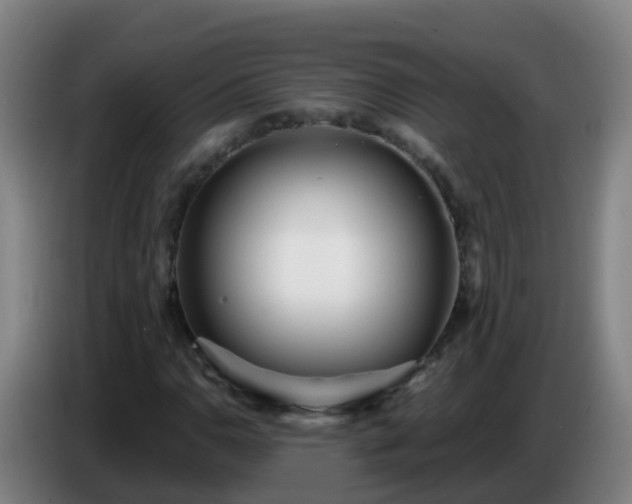 X0000086781110200704201819