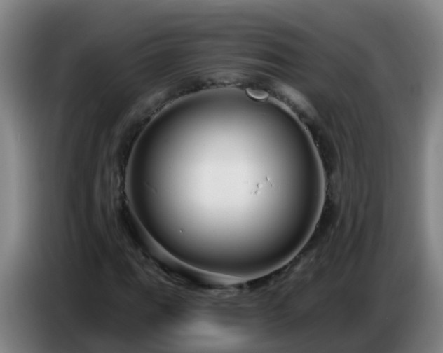 X0000086781111200704201819