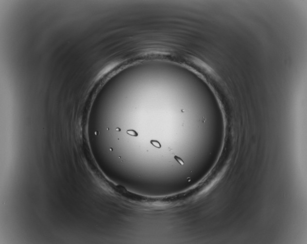 X0000086781113200704201819