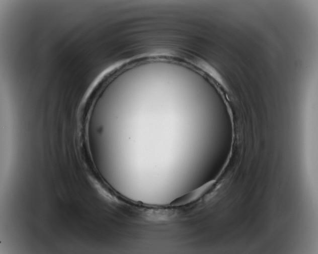 X0000086781116200704201819