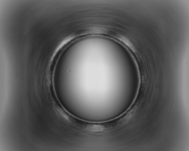 X0000086781119200704201819