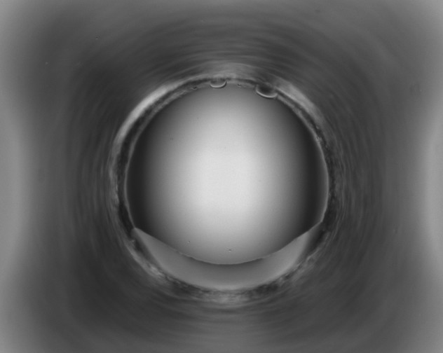 X0000086781120200704201819