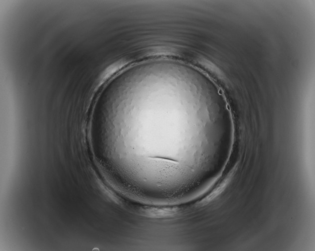 X0000086781121200704201819